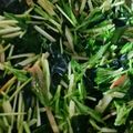 ☆MHK☆'s cooksnap of when they made ■わかめと水菜のさっぱりサラダ■.