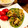 shiho23's cooksnap of when they made 豚肉と切り干し大根の青椒肉絲風.