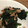 クックZ8J4H4☆'s cooksnap of when they made お弁当に。1分で ほうれん草バター炒め。.
