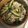 クックZ8J4H4☆'s cooksnap of when they made 豚肉ときゅうりの胡麻炒め.