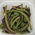 kirahanabi's cooksnap of when they made 旬・春の香り◇こごみ◇簡単下処理◇山菜.