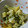 ☆ともすけ♪☆'s cooksnap of when they made 木の芽あえ.