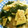 エミチョコ's cooksnap of when they made ☆たけのことわかめの香り炒め.