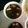 イルカ凡's cooksnap of when they made 簡単！美味しい！アオサ味噌汁.