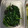 はーとねこ's cooksnap of when they made ニラと塩こんぶの和え物.