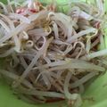 およぉさん's cooksnap of when they made 簡単あっさり☆もやしとカニカマのナムル.