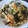 Gontom's cooksnap of when they made 火を使わずに簡単ごはん！たぬき豆腐丼.
