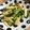 chiyo-co's cooksnap of when they made たけのこのペペロンチーノ.