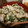 ゆるмαмα's cooksnap of when they made 簡単♪豚と春菊の中華風トロトロ丼.