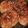 Ｍぱん's cooksnap of when they made みんな大好き！鶏つくねハンバーグ！.