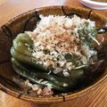 低カロ探検隊's cooksnap of when they made ピーマン6個を一度に使う まるごと煮.