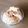 take♪aki♪'s cooksnap of when they made バニラアイスヨーグルト。。きなことココア.