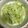 なつきよう's cooksnap of when they made 新玉ねぎ☆の簡単♪和風アボカド和え.