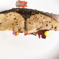 ♡♥♡くーまん♡♥♡'s cooksnap of when they made 簡単☆フライパンでぶりの塩レモン焼き.