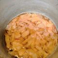 実希男's cooksnap of when they made 少量からでも@「がり」新生姜の甘酢漬け.