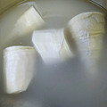 はっさく大福839's cooksnap of when they made たけのこの煮かた☆.