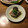 シカツノ's cooksnap of when they made イトヨリの酒蒸し.