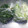☆ありか358☆'s cooksnap of when they made ねぎの冷凍保存！.