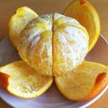 ちょこちょこまん's cooksnap of when they made 夏みかんの皮をきれいに剥く方法.