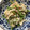 音くっく's cooksnap of when they made ゴーヤとささみの梅おろし和え.