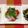 ぽぽきゅ's cooksnap of when they made パクパクパクチーとトマトのサラ(^—^).