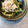 ちょこちょここ's cooksnap of when they made めんつゆで簡単⋆ほうれん草のおひたし.
