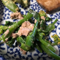 hittmdd's cooksnap of when they made 鰹節で苦味軽減♪菜の花のおかかマヨ和え.
