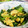なおきんとん's cooksnap of when they made 小松菜と卵の菜の花風炒め.
