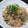 あちゃこ333's cooksnap of when they made ヒジキと切干のマヨポン炒め.