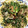 クックWB85OC☆'s cooksnap of when they made こごみの和風パスタ.