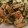クックKC557C☆'s cooksnap of when they made 簡単♪山芋の磯辺揚げ♪お弁当やおつまみに.