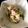 ばやし's cooksnap of when they made しゃきしゃきセロリのおからサラダ.