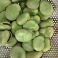 ロリポップ☆'s cooksnap of when they made 簡単ほくほく♡基本のそらまめの茹で方.