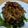 ゆみまき＠'s cooksnap of when they made ほうれん草の肉みそのせ.