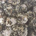 roseclover's cooksnap of when they made 塩麹で☆鶏肉のゴマまぶし焼き.