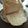 クック13CBCY☆'s cooksnap of when they made 薄力粉パン HB.