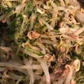 空中逆上がり's cooksnap of when they made きゅうりともやしのツナ和えサラダ.
