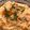 おじゃ柚's cooksnap of when they made 冷めても美味しい☆そうめんチャプチェ.