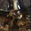 kona8's cooksnap of when they made めんつゆがない！そんな時の手作りめんつゆ.
