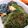 おにじろう's cooksnap of when they made ＊鶏つくねの大葉＆海苔焼き＊.