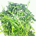 ゆうき８１'s cooksnap of when they made 豆苗のごま和え.