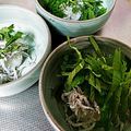 ★akiko♪'s cooksnap of when they made 超簡単♪しらすおろし大葉のっけ♪.