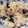 うさももぎ's cooksnap of when they made 簡単煎り黒豆の炊き込みご飯.