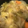 bananabana's cooksnap of when they made 胃腸炎の回復期に☆鶏肉と野菜のスープ煮.