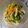 おかかーさん's cooksnap of when they made ほうれんそう・もやし・にんじんの三色和え.