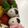 いさめぐ's cooksnap of when they made うずらの卵で、スヌーピー♡.