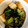 こうきとだいきママ's cooksnap of when they made 小松菜と厚揚げの炊いたん.
