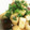 MOMOKOK's cooksnap of when they made 長芋とちくわのオイスターソース炒め.