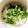 azbjbn's cooksnap of when they made 新たまと青じそのサラダ.