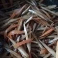 クックE2OHKS☆'s cooksnap of when they made 基本のきんぴらごぼう.